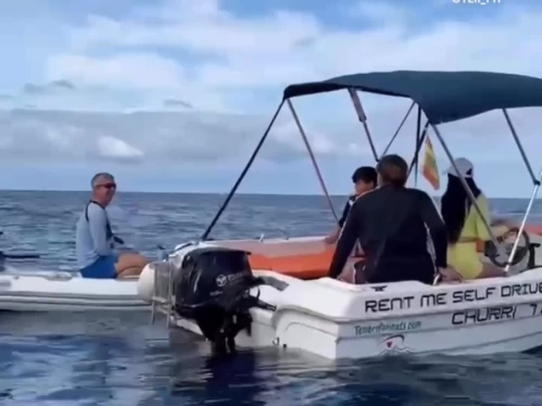 YachtCharter in Adeje - Mareti 460 auf SamBoat