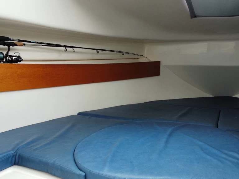 Motorboot mieten in Sciez zum besten Preis