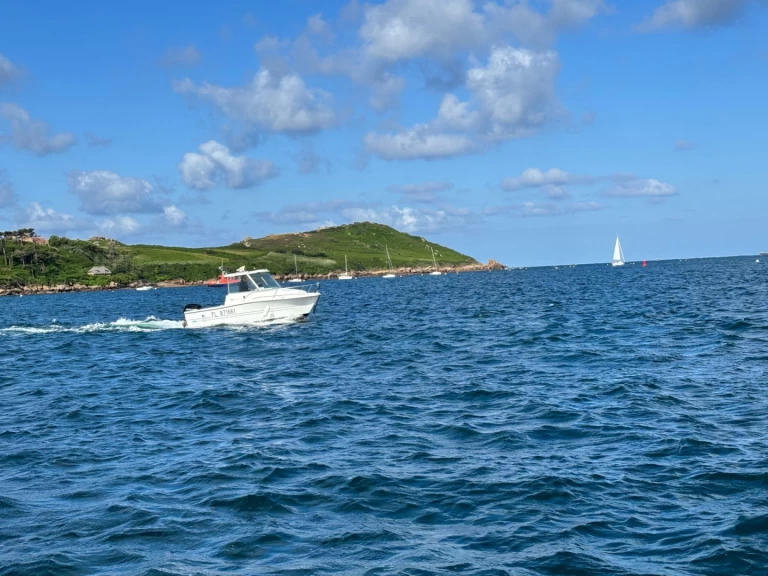 Motorboot mieten in Trébeurden - Sessa Marine SESSA 550