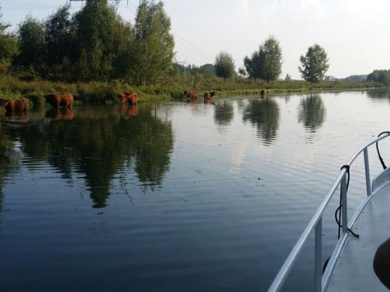 Motorboot mieten in Bunschoten zum besten Preis