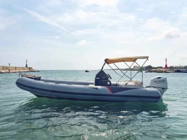 Vermietung Motorboot  mit Führerschein