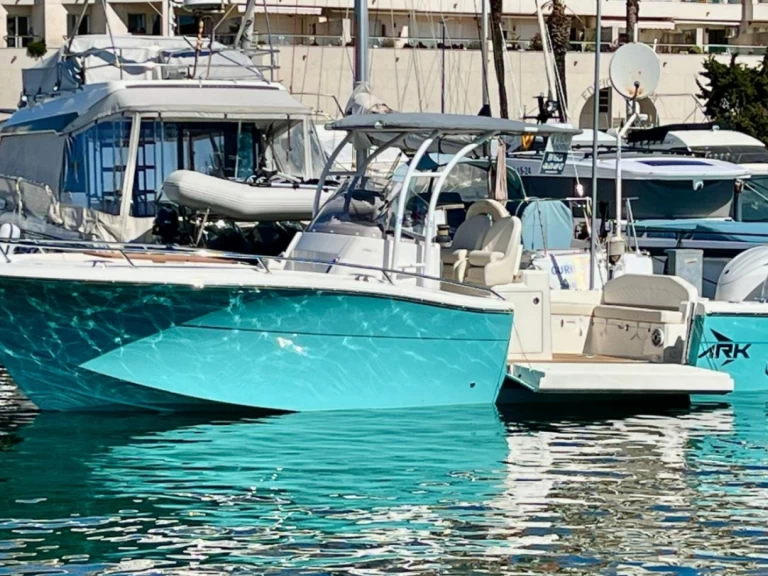 Vermietung Motorboot White Shark mit Führerschein