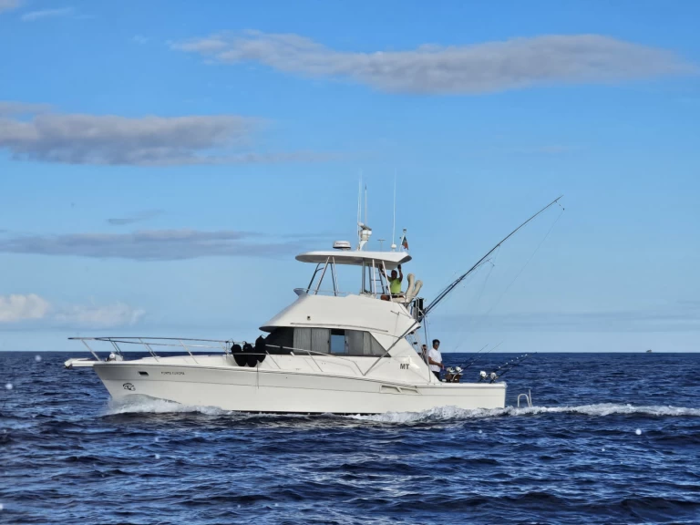 Motorboot mieten in Ponta Delgada (São Pedro) - Riviera Riviera 39 Open Flybridge