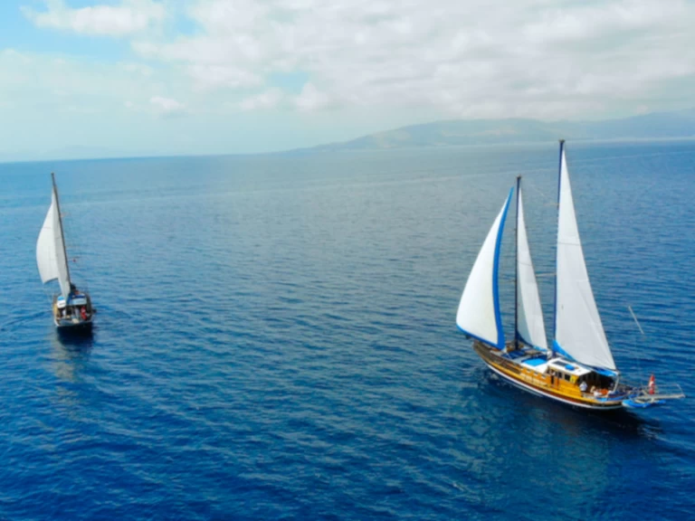 YachtCharter in Bodrum -  Gulet Kavanca auf SamBoat