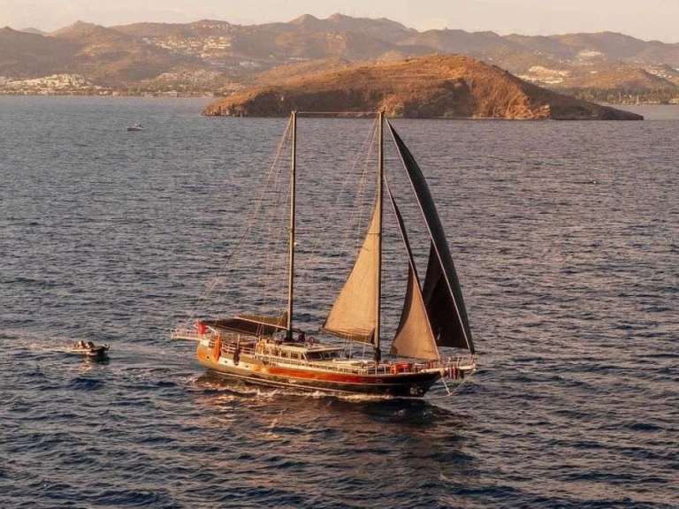 Vermietung Yacht Custom mit Führerschein