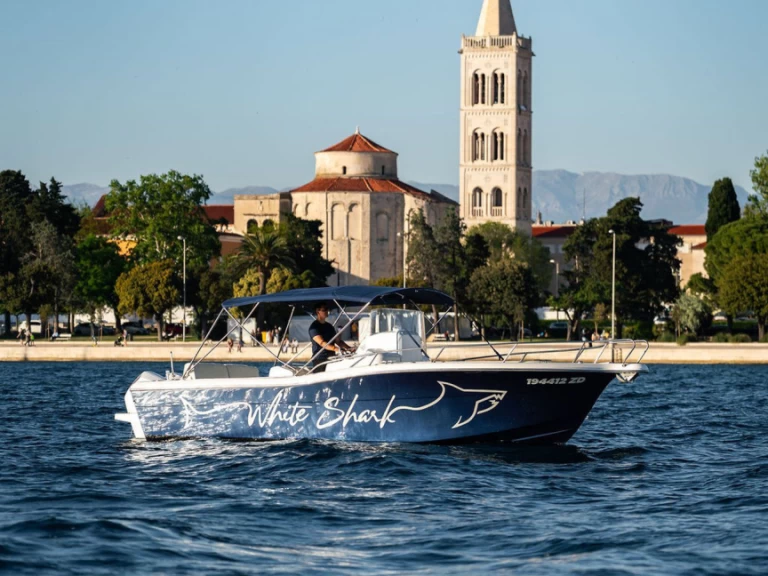 YachtCharter in Zadar - Kelt WHITE SHARK 265 auf SamBoat