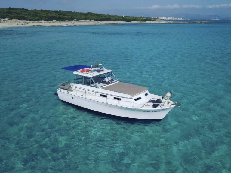 Chris Craft Commander 31 mieten Can Picafort