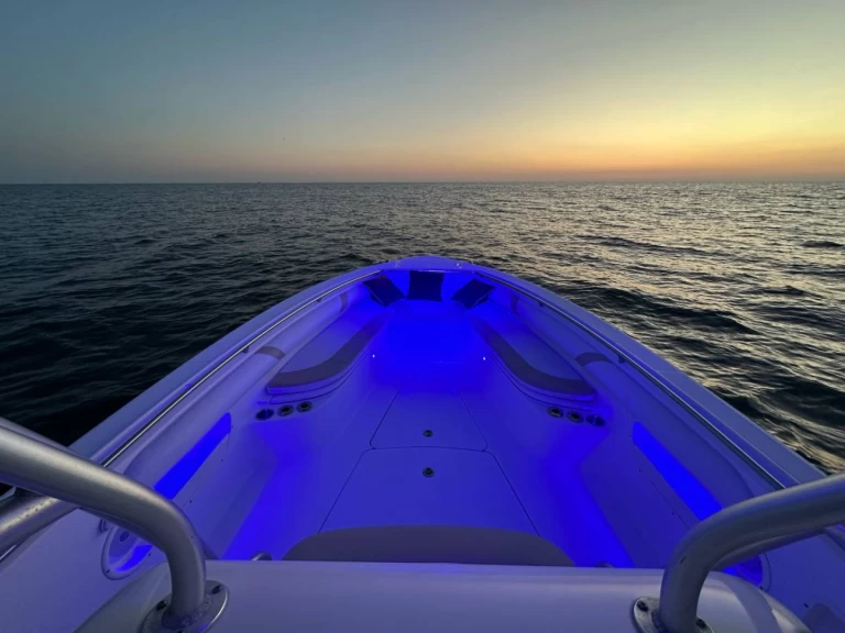 Boot mieten Ýdra günstig Boston Whaler 320 Outrage