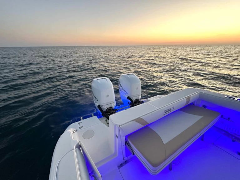 Motorboot mieten in Ýdra - Boston Whaler Boston Whaler 320 Outrage