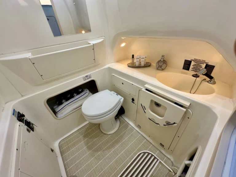 Bootsverleih Boston Whaler Boston Whaler 320 Outrage Ýdra Samboat