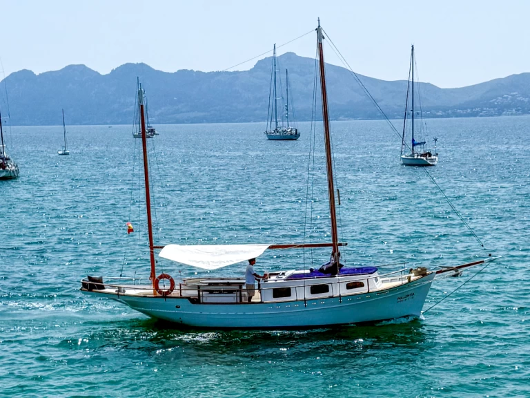 Ein Llaut Classico 1960 mieten in Puerto de Pollensa