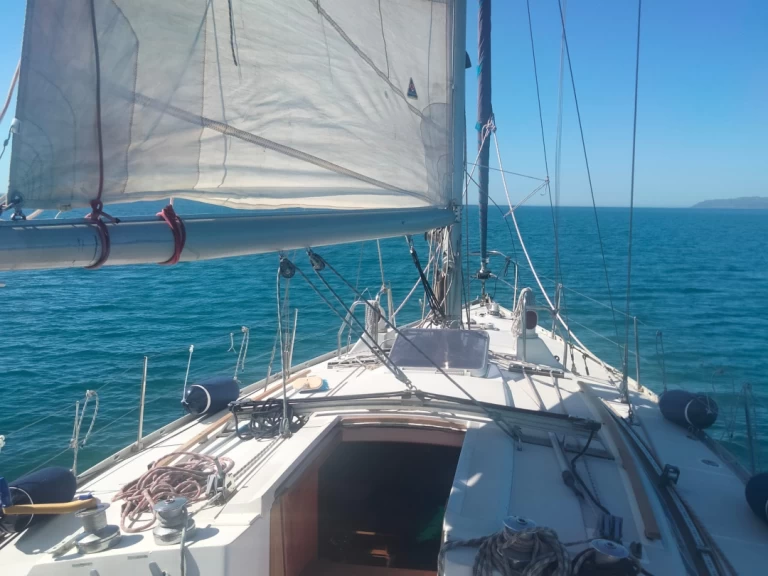 Bénéteau Canot 390 mieten Cagliari Port