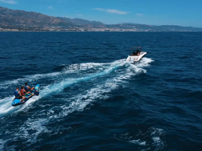 Bootsverleih Suzuki DF 115 BTL Marbella Samboat