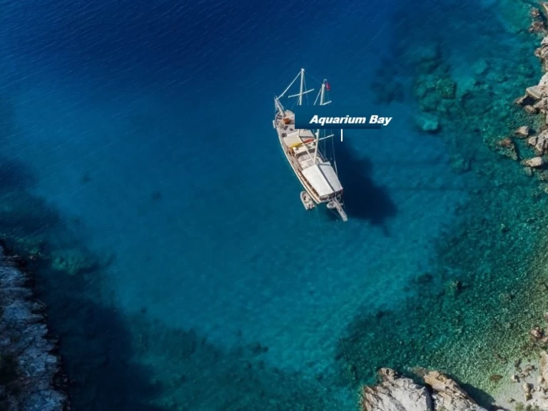 Schlauchboot mieten in Budrum Bay zum besten Preis