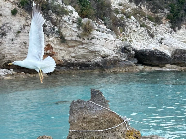 Katamaran mieten in Lefkáda zum besten Preis
