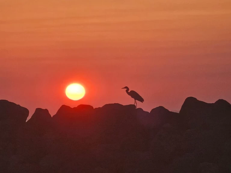 Bootsverleih Marco 26 Oía Samboat