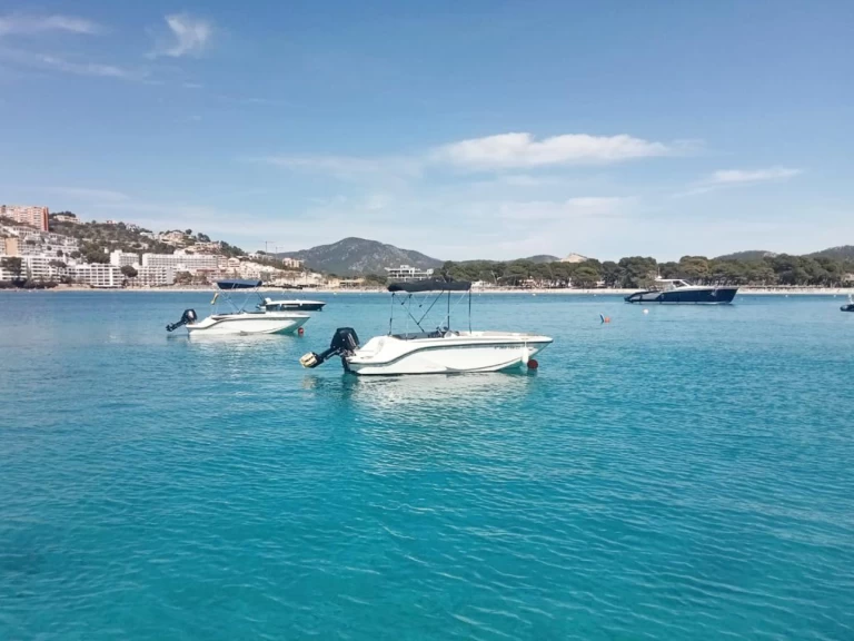 Motorboot mieten in La Savina - Quicksilver QS 475 AXESS