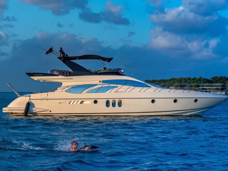 Yacht mieten in Golfe-Juan - Sealine Sealine T 60