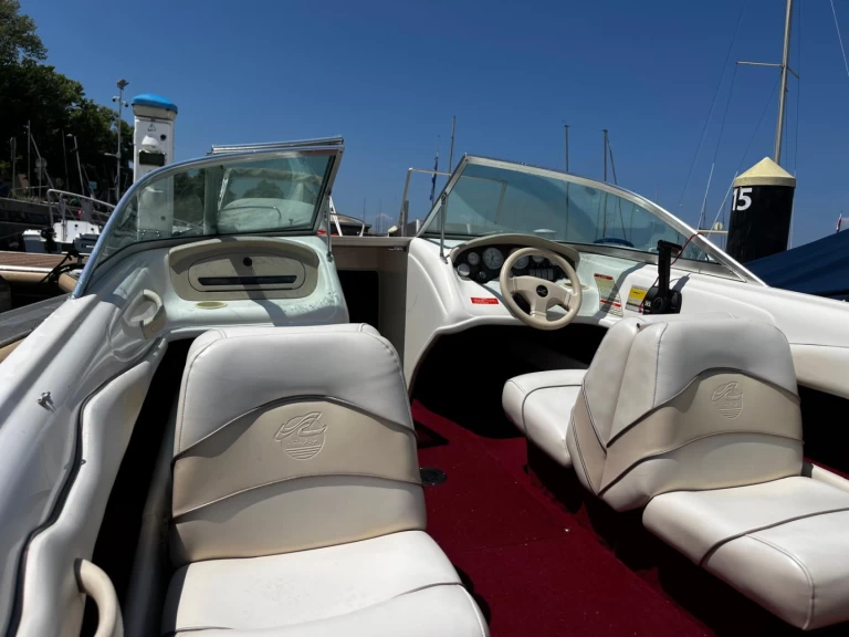Motorboot mieten in Évian-les-Bains - Sea Ray Sea Ray 175 Bow Rider