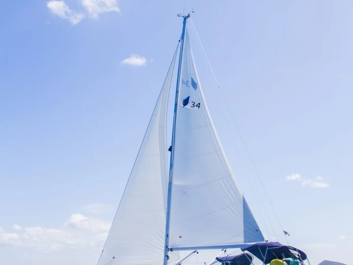 Segelboot mieten in Road Town - Bavaria Bavaria 34