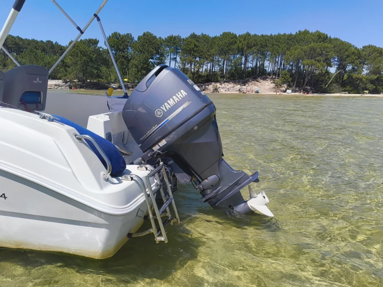 Ein Pacific Craft Pacific Craft 545 Trendy mieten in Sanguinet