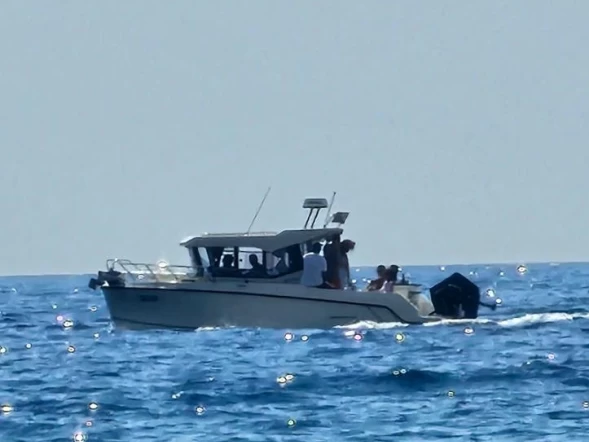 Ein Quicksilver Pilithouse 805 cabine mieten in Budva