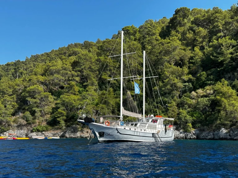 YachtCharter in Fethiye - Custom Made Gulet auf SamBoat