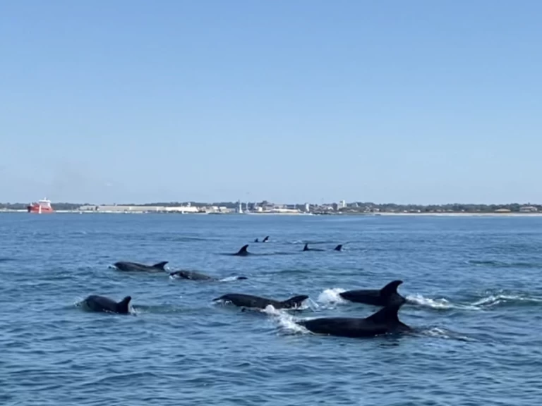 Boot mieten Bayonne günstig Ultra 515 Open