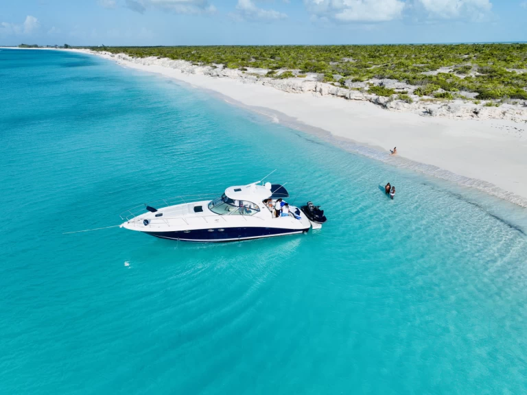 Ein Sea Ray SUNDANCER 420 mieten in Turks Islands