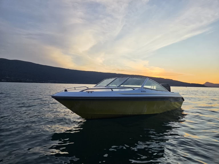 Boot mieten Annecy günstig Sea Ray 160 CB