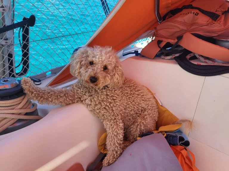 Boot mieten Saint-Florent günstig Sun Fizz