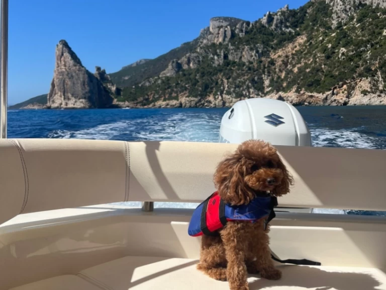 Ein Bsc BSC 70 Classic mieten in Villasimius