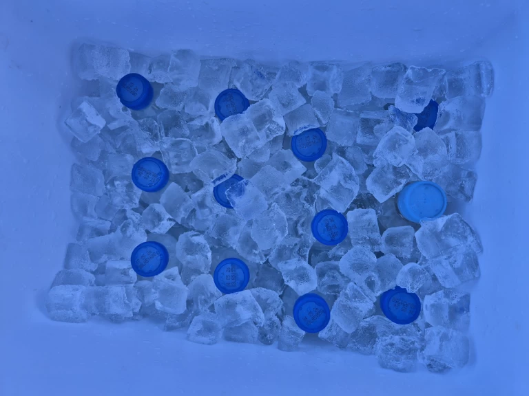 YachtCharter in Makarska - Cap755cc Cap755cc auf SamBoat