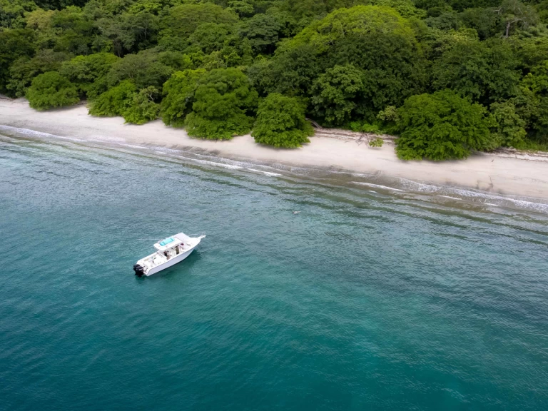 Vermietung Motorboot grady-white mit Führerschein