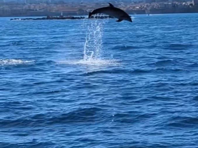 Vermietung Motorboot Navan mit Führerschein