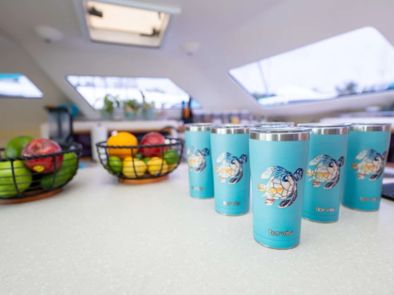 YachtCharter in Britische Jungferninseln - Voyage TURQUOISE TURTLE auf SamBoat