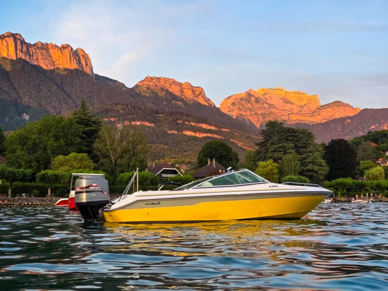 Motorboot mit oder ohne Skipper Sea Ray mieten in Annecy