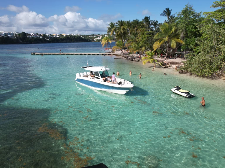 YachtCharter in Pointe-à-Pitre - Boston Whaler Boston Whaler 380 Outrage auf SamBoat
