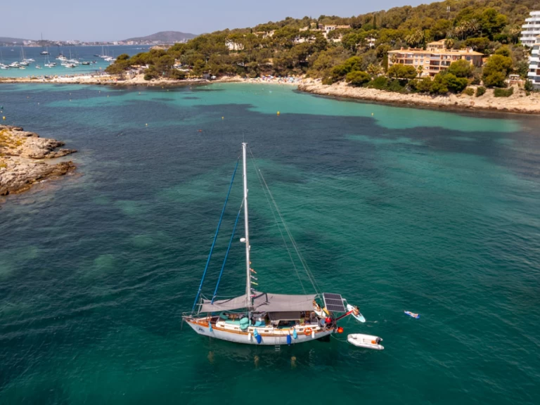 Bootsverleih Formosa Formosa 46  Palma de Mallorca Samboat