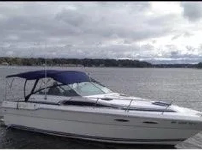 Motorboot mieten in Sorrent - Sea Ray Sea Ray 300 Sundancer