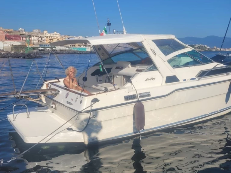 YachtCharter in Sorrent - Sea Ray Sea Ray 300 Sundancer auf SamBoat