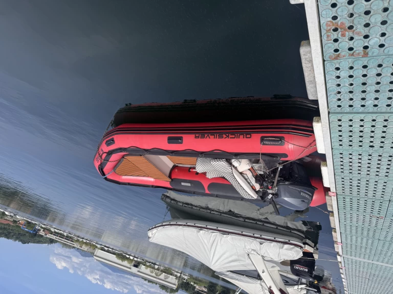 Schlauchboot mit oder ohne Skipper Quicksilver mieten in Ornex