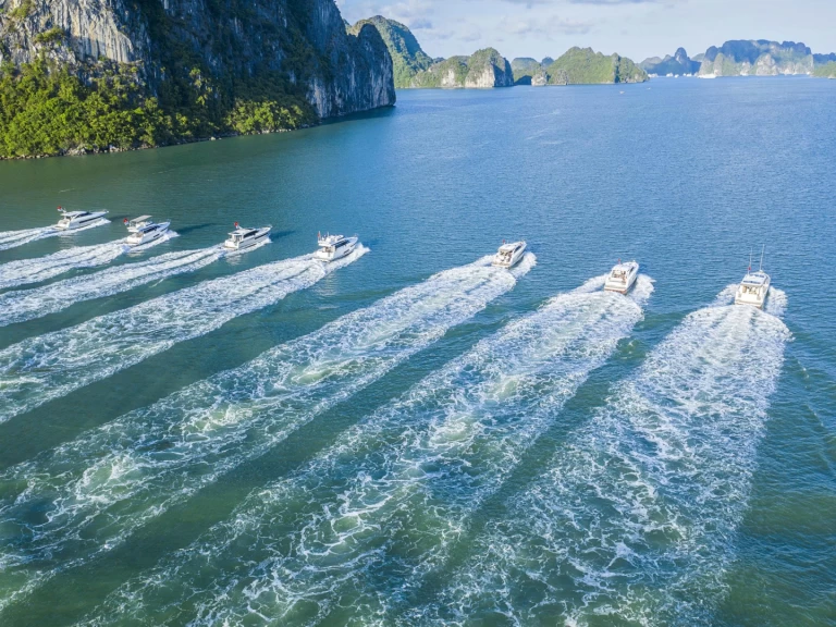 Ein Prestige Prestige 520 Fly mieten in Hạ Long