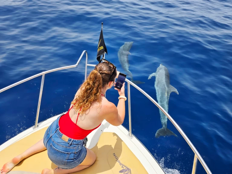 Motorboot mieten in Guía de Isora zum besten Preis