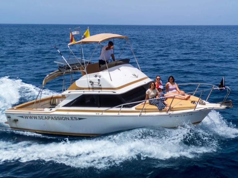 YachtCharter in Guía de Isora - Bertram Bertram 28 flybrigde auf SamBoat