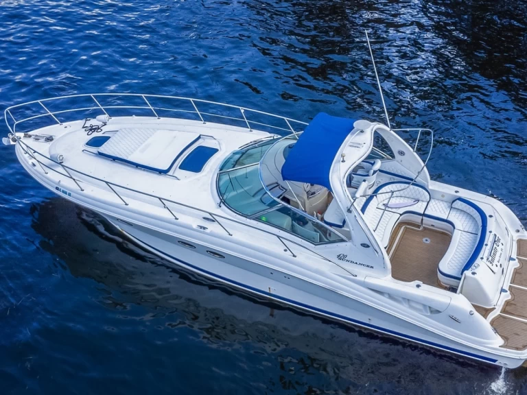 Yacht mit oder ohne Skipper Sea Ray mieten in Miami