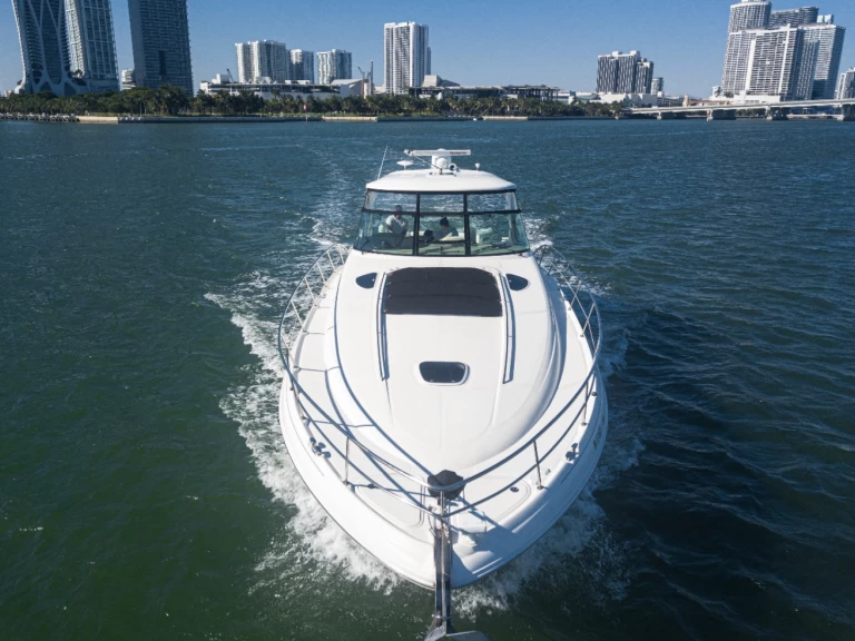 Ein Sea Ray Sea Ray 54 mieten in Miami Beach