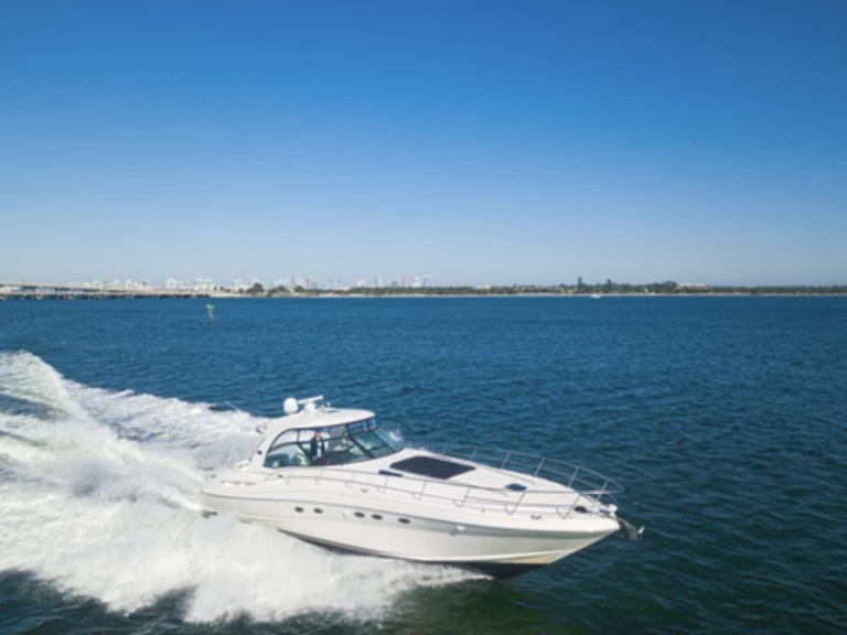 Yacht mit oder ohne Skipper Sea Ray mieten in Miami Beach