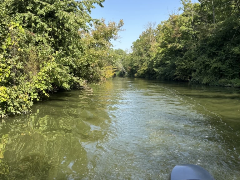 Vermietung Motorboot Jeanneau mit Führerschein