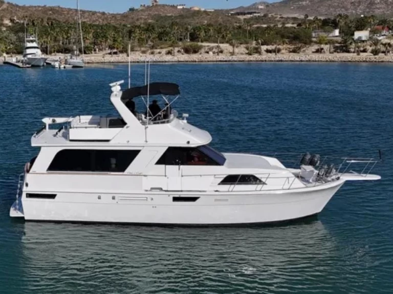 Ein Chris Craft Constellation 55 mieten in San José del Cabo